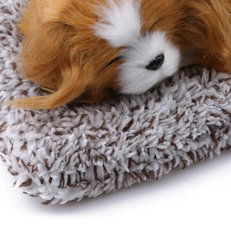 Stuffed Animal/Dog